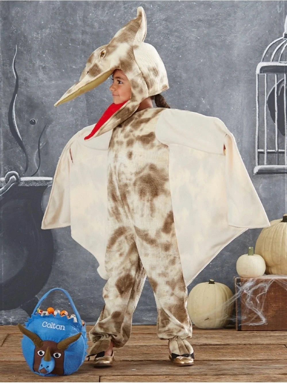 Pottery Barn Kids Pterodactyl Halloween Costume Two Piece